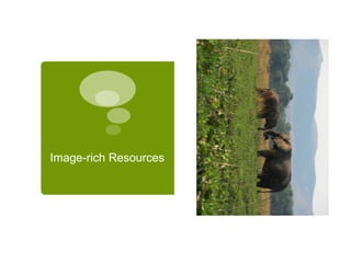Image-rich Resources 