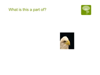 What is this a part of? 