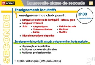 Enseignements facultatifs Enseignements facultatifs enseignement au choix parmi : 3h00 hebdomadaire Arts Langues et cultures de l'antiquité : latin ou grec Langues vivante 3 Education physique et sportive Arts plastiques Cinéma-audiovisuel Danse SECONDE + atelier artistique (72h annuelles) Enseignements facultatifs assurés uniquement en lycée agricole Enseignements facultatifs assurés uniquement en lycée agricole Hippologie et équitation Pratiques sociales et culturelles Pratiques professionnelles Histoire des arts Musique Théâtre La nouvelle classe de seconde La nouvelle classe de seconde 