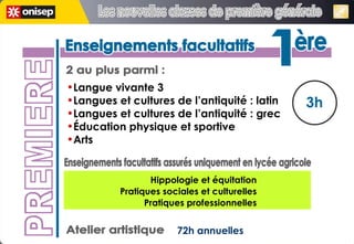 Enseignements facultatifs Enseignements facultatifs 3h 2 au plus parmi : Atelier artistique 72h annuelles Langue vivante 3 Langues et cultures de l’antiquité : latin Langues et cultures de l’antiquité : grec Éducation physique et sportive Arts PREMIERE 1 ère 1 ère Enseignements facultatifs assurés uniquement en lycée agricole Hippologie et équitation Pratiques sociales et culturelles Pratiques professionnelles Les nouvelles classes de première générale Les nouvelles classes de première générale 