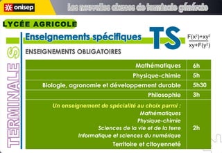 Mathématiques Physique-chimie Biologie, agronomie et développement durable Philosophie Un enseignement de spécialité au choix parmi : Mathématiques Physique-chimie Sciences de la vie et de la terre Informatique et sciences du numérique Territoire et citoyenneté 6h 5h 5h30 3h 2h ENSEIGNEMENTS OBLIGATOIRES TERMINALE S Enseignements spécifiques Enseignements spécifiques TS TS F(x 2 )+xy 2 xy+F(y 2 ) Les nouvelles classes de terminale générale Les nouvelles classes de terminale générale LYCÉE AGRICOLE 