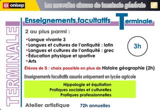 Enseignements facultatifs Enseignements facultatifs 3h 2 au plus parmi : Atelier artistique 72h annuelles Langue vivante 3 Langues et cultures de l’antiquité : latin Langues et cultures de l’antiquité : grec Éducation physique et sportive Arts TERMINALE T erminale T erminale Enseignements facultatifs assurés uniquement en lycée agricole Hippologie et équitation Pratiques sociales et culturelles Pratiques professionnelles Les nouvelles classes de terminale générale Les nouvelles classes de terminale générale Élèves de S : choix possible en plus de   Histoire géographie (2h)   