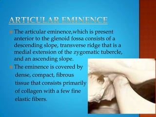  The articular eminence,which is present
anterior to the glenoid fossa consists of a
descending slope, transverse ridge that is a
medial extension of the zygomatic tubercle,
and an ascending slope.
 The eminence is covered by
dense, compact, fibrous
tissue that consists primarily
of collagen with a few fine
elastic fibers.
 