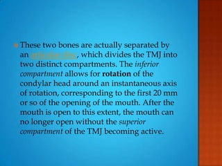  These two bones are actually separated by
an articular disc, which divides the TMJ into
two distinct compartments. The inferior
compartment allows for rotation of the
condylar head around an instantaneous axis
of rotation, corresponding to the first 20 mm
or so of the opening of the mouth. After the
mouth is open to this extent, the mouth can
no longer open without the superior
compartment of the TMJ becoming active.
 