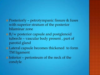  Posteriorly – petrotympanic fissure & fuses
with superior stratum of the posterior
bilaminar zone
 B/w posterior capsule and postglenoid
tubercle – vascular body present , part of
parotid gland
 Lateral capsule becomes thickened to form
TM ligament
 Inferior – periosteum of the neck of the
condyle
 