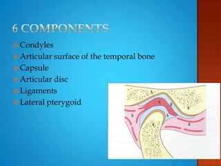  Condyles
 Articular surface of the temporal bone
 Capsule
 Articular disc
 Ligaments
 Lateral pterygoid
 