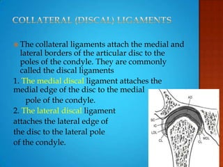  The collateral ligaments attach the medial and
lateral borders of the articular disc to the
poles of the condyle. They are commonly
called the discal ligaments
1. The medial discal ligament attaches the
medial edge of the disc to the medial
pole of the condyle.
2. The lateral discal ligament
attaches the lateral edge of
the disc to the lateral pole
of the condyle.
 