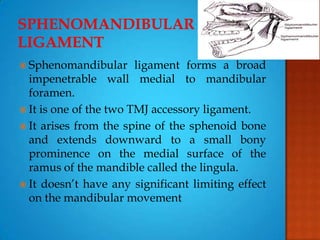  Sphenomandibular ligament forms a broad
impenetrable wall medial to mandibular
foramen.
 It is one of the two TMJ accessory ligament.
 It arises from the spine of the sphenoid bone
and extends downward to a small bony
prominence on the medial surface of the
ramus of the mandible called the lingula.
 It doesn’t have any significant limiting effect
on the mandibular movement
 