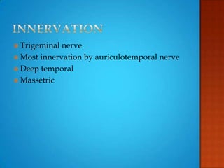  Trigeminal nerve
 Most innervation by auriculotemporal nerve
 Deep temporal
 Massetric
 