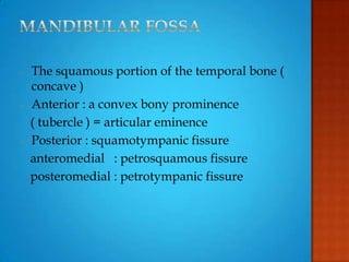 - The squamous portion of the temporal bone (
concave )
- Anterior : a convex bony prominence
( tubercle ) = articular eminence
- Posterior : squamotympanic fissure
anteromedial : petrosquamous fissure
posteromedial : petrotympanic fissure
 