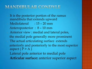 - It is the posterior portion of the ramus
mandibula that extends upward
- Mediolateral : 15 – 20 mm
Anteroposterior : 8 – 10 mm
- Anterior view : medial and lateral poles,
the medial pole generally more prominent
- The actual articulating surface extends
anteriorly and posteriorly to the most superior
aspect ( P > A )
Lateral pole anterior to medial pole
Articular surface: anterior superior aspect
 