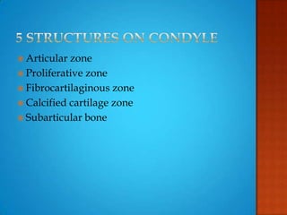  Articular zone
 Proliferative zone
 Fibrocartilaginous zone
 Calcified cartilage zone
 Subarticular bone
 