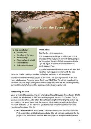 1
News from the forest
Introduction
Dear funders and supporters,
With this newsletter I hope to inform you on the
progress of the study I am currently conducting on
the population density of Callicebus oenanthe in
Ojos de Agua, a conservation concession in
North-eastern Peru.
We have now collected almost half of our data and
have had numerous encounters with the titis,
tamarins, howler monkeys, snakes, butterflies and most of all mosquitoes.
In this newsletter I will introduce you to the team I am working with and to the two
main collaborators: Proyecto Mono Tocón and ABOFOA. We will tell you about the
research site, the (slight changes in) methodology and what we will be doing during
our next trips (all of which will be accompanied with some pictures!).
Introducing the team
Upon arrival in Moyobamba, the city where the office of Proyecto Mono Tocón (PMT)
is based, the whole team of PMT was waiting to greet me and Dr. Carolina Garcia
Suikkanen in the office. After a few days of recovering from the long trip and jet lag
and meeting the team, it was time for a period full of meetings and practice of our
research methods. Let me introduce you to the most important collaborators and
members of my team (Fig. 1):
 Dr. Carolina Garcia Suikkanen: Carolina is from Spain and conducted her
PhD on corridors and habitat connectivity. She will work as a volunteer for the
project for a period of six months. Her first project is a duplicate of my study,
In this newsletter:
 Introduction
 Introducing the team
 Methodology
 Pictures from the field
 Planned trips
 Acknowledgements
 