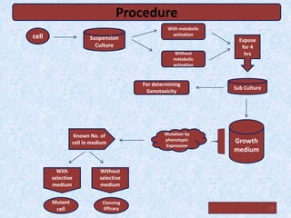 cell Suspension
Culture
With metabolic
activation
Without
metabolic
activation
Expose
for 4
hrs
Sub Culture
For determining
Genotoxicity
Growth
medium
Mutation by
phenotypic
Expression
Known No. of
cell in medium
With
selective
medium
Without
selective
medium
Mutant
cell
Clonning
Efficacy
Procedure
11
 