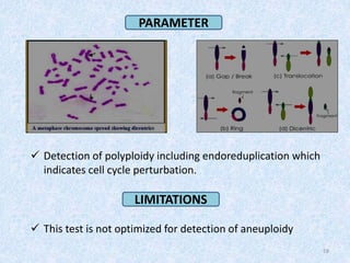 Detection of polyploidy including endoreduplication which
indicates cell cycle perturbation.
 This test is not optimized for detection of aneuploidy
18
PARAMETER
LIMITATIONS
 