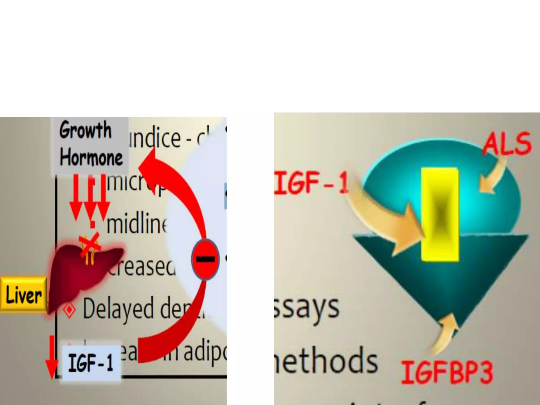Short stature indication of growth hormone therapy PPT