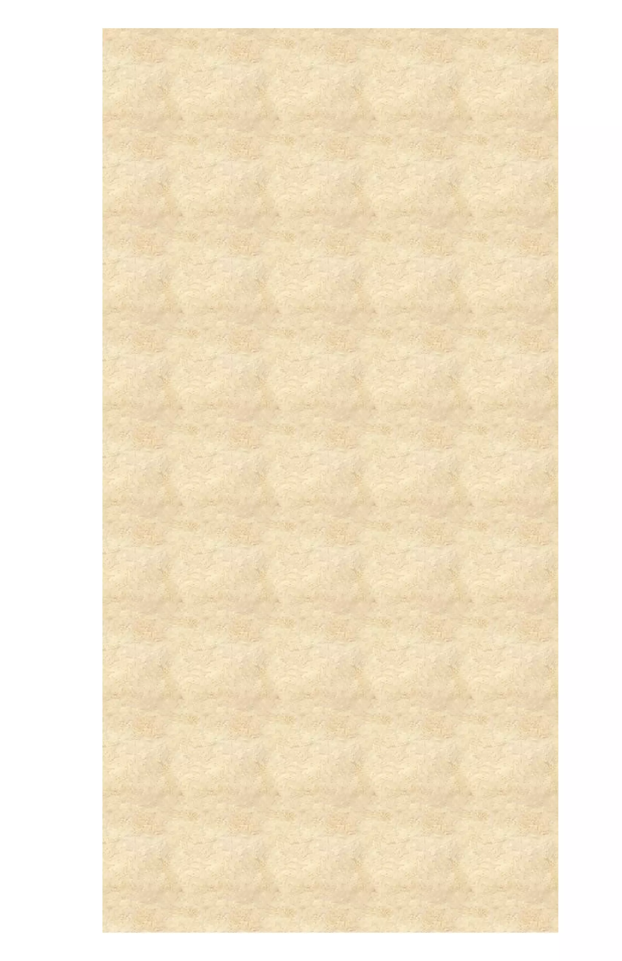 Newsletter the ozone