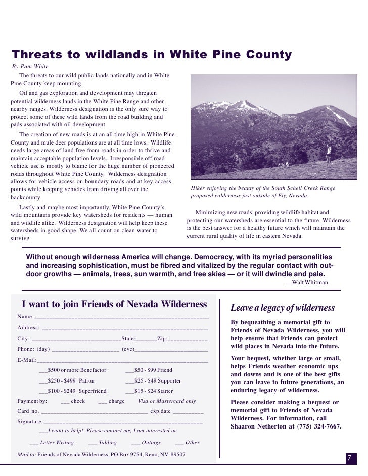 into the wilderness newsletter into the wilderness newsletter