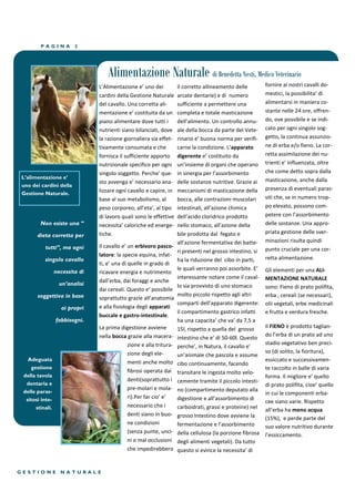 PAGINA           2




                                    Alimentazione Naturale di Benedetta Nesti, Medico Veterinario
                                L’Alimentazione  e’  uno  dei               il corretto allineamento delle               fornire ai nostri cavalli do-
                                cardini della Gestione Naturale             arcate dentarie) e di numero                 mestici,  la  possibilita’  di  
                                del cavallo. Una corretta ali-              sufficiente a permettere una                 alimentarsi in maniera co-
                                mentazione  e’  costituita  da  un          completa e totale masticazione               stante nelle 24 ore, offren-
                                piano alimentare dove tutti i               dell’alimento.  Un  controllo  annu-­‐       do, ove possibile e se indi-
                                nutrienti siano bilanciati, dove            ale della bocca da parte del Vete-           cato per ogni singolo sog-
                                la razione giornaliera sia effet-           rinario  e’  buona  norma  per  verifi-­‐    getto, la continua assunzio-
                                tivamente consumata e che                   carne  la  condizione.  L’apparato           ne di erba e/o fieno. La cor-
                                fornisca il sufficiente apporto             digerente e’  costituito  da                 retta assimilazione dei nu-
                                nutrizionale specifico per ogni             un’insieme  di  organi  che  operano         trienti  e’  influenzata,  oltre  
                                singolo  soggetto.  Perche’  que-­‐         in  sinergia  per  l’assorbimento            che come detto sopra dalla
L’alimentazione e’                                                                                                       masticazione, anche dalla
                                sto  avvenga  e’  necessario  ana-­‐        delle sostanze nutritive. Grazie ai
uno dei cardini della
                                lizzare ogni cavallo e capire, in           meccanismi di masticazione della             presenza di eventuali paras-
Gestione Naturale.
                                base al suo metabolismo, al                 bocca, alle contrazioni muscolari            siti che, se in numero trop-
                                peso  corporeo,  all’eta’,  al  tipo        intestinali,  all’azione  chimica            po elevato, possono com-
                                di lavoro quali sono le effettive           dell’acido  cloridrico  prodotto             petere  con  l’assorbimento  
        Non esiste una “        necessita’  caloriche  ed  energe-­‐        nello  stomaco,  all’azione  della           delle sostanze. Una appro-
                                tiche.                                      bile prodotta dal fegato e                   priata gestione delle sver-
       dieta corretta per
                                                                            all’azione  fermentativa  dei  batte-­‐      minazioni risulta quindi
          tutti”, ma ogni       Il  cavallo  e’  un  erbivoro pasco-
                                                                            ri presenti nel grosso intestino, si         punto cruciale per una cor-
                                latore: la specie equina, infat-
          singolo cavallo                                                   ha la riduzione del cibo in parti,           retta alimentazione.
                                ti,  e’  una  di  quelle  in  grado  di  
                                                                            le  quali  verranno  poi  assorbite.  E’     Gli elementi per una ALI-
                 necessita di   ricavare energia e nutrimento
                                                                            interessante notare come il caval-           MENTAZIONE NATURALE
                                dall’erba,  dai  foraggi  e  anche  
                   un’analisi                                               lo sia provvisto di uno stomaco
                                dai  cereali.  Questo  e’  possibile                                                     sono: Fieno di prato polifita,
       soggettiva in base                                                   molto piccolo rispetto agli altri            erba , cereali (se necessari),
                                soprattutto  grazie  all’anatomia  
                                                                            comparti  dell’apparato  digerente:          olii vegetali, erbe medicinali
                   ai propri    e alla fisiologia degli apparati
                                                                            il compartimento gastrico infatti            e frutta e verdura fresche.
                                buccale e gastro-intestinale.
                 fabbisogni.                                                ha  una  capacita’  che  va’  da  7,5  a  
                                La prima digestione avviene                 15l, rispetto a quella del grosso            Il FIENO è  prodotto  taglian-­‐
                                nella bocca grazie alla macera-                                                          do  l’erba  di  un  prato  ad  uno  
                                                                            intestino  che  e’  di  50-60l. Questo
                                           zione e alla tritura-                                                         stadio vegetativo ben preci-
                                                                            perche’,  in  Natura,  il  cavallo  e’  
                                           zione degli ele-                                                              so (di solito, la fioritura),
                                                                            un’animale  che  pascola  e  assume  
   Adeguata                                                                                                              essiccato e successivamen-
                                           menti anche molto                cibo continuamente, facendo
     gestione                                                                                                            te raccolto in balle di varia
                                           fibrosi operata dai              transitare le ingesta molto velo-
 della tavola                                                                                                            forma.  Il  migliore  e’  quello  
                                           denti(soprattutto i              cemente tramite il piccolo intesti-
  dentaria e                                                                                                             di  prato  polifita,  cioe’  quello  
                                           pre-molari e mola-               no (compartimento deputato alla
 delle paras-                                                                                                            in cui le componenti erba-
  sitosi inte-                             ri).Per  far  cio’  e’           digestione  e  all’assorbimento  di  
                                                                                                                         cee siano varie. Rispetto
      stinali.                             necessario che i                 carboidrati, grassi e proteine) nel          all’erba  ha  meno acqua
                                           denti siano in buo-              grosso Intestino dove avviene la             (15%), e perde parte del
                                           ne condizioni                    fermentazione  e  l’assorbimento             suo valore nutritivo durante
                                           (senza punte, unci-              della cellulosa (la porzione fibrosa         l’essiccamento.
                                           ni o mal occlusioni              degli alimenti vegetali). Da tutto
                                           che impedirebbero                questo  si  evince  la  necessita’  di  


GESTIONE           NATURALE
 