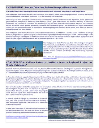 U.N.-backed report ranks businesses by impact on environment: Cattle ranching in South America ranks second worst.
Coal-fired power generation in Asia and cattle ranching in South America are the most damaging businesses for nature with hidden
costs that exceed the value of their production, a U.N.-backed report said on Monday.
Global output of basic goods from cement to wheat caused damage totalling $7.3 trillion a year if pollution, water, greenhouse
gases and waste were priced to reflect long-term impacts, it said in a guide for businesses and investors. The study, by a business
coalition for The Economics of Ecosystems and Bodiversity (TEEB), said there were wide uncertainties in the prices. The coalition's
backers include the United Nations, World Bank, businesses and conservation groups. "The numbers in this report underline the
urgency but also the opportunities for all economies in transitioning to a green economy," Achim Steiner, head of the U.N. Environ-
ment Programme, said in a statement.
Coal-fired power generation in Asia, led by China, had estimated revenues of $443 billion a year but caused $452 billion in damage
to nature, largely because greenhouse gases caused climate change and pollution harmed people's health. Cattle ranching in South
America, especially in cleared parts of the Amazon forest, ranked second with damage estimated at $353 billion, largely because of
stress on water supplies and deforestation that far exceeded revenues of $16.6 billion.
Coal-fired power in North America was third in the ranking on damage to
"natural capital", ahead of wheat and rice farming in Southern Asia, it said.
"We are trying to focus the minds of busineses and investors onto natural
capital" to encourage better practices, Dorothy Maxwell, director of the
TEEB for Business Coalition, told Reuters. "We are not asking anyone to
close down."
Read more at: http://www.reuters.com/article/2013/04/15/environment-businesses-
idUSL5N0CZ31G20130415
Scientists from Peru, Colombia, Ecuador, Costa Rica, Panamá, Chile and Antarctica are collecting data to generate the largest cata-
logue on humpback whales (Megaptera novaeangliae) living in the southeast Pacific Ocean. According to preliminary results, there
is a total of 4,480 humpback whales identified, ranging from Antarctica up to Costa Rica.
In Peru, this initiative is supported by ecotourism. Whale watching tours start in July and last until October. Researchers photo-
graph the inner part of the tail, which is distinctive for each whale, functioning like a fingerprint for humans. They also note the
time, location, behavior and group, when taking the photographs. This study is important to understand whale interaction, know
more about sex, size of population, and connectivity.
Peru forms the southern limit of the reproduction area of humpback whales. Whales are in Peruvian water between July and Octo-
ber. During their stay, they court and reproduce. It is possible
to see whale deliveries, as well. After winter, they migrate
south. Peruvian experts have determined that the North of
Peru is a natural sanctuary for cetaceans.
A positive aspect to highlight is participation of local fisher-
men, who have found in ecotourism and whale watching a
new employment opportunity. The mission is to use tourism
as a conservation tool.
In 1946, Peru subscribed to the International Convention for
the Regulation of Whaling. This norm was ratified in 1976 and
prohibits the hunting of whales for commercial purposes.
http://elcomercio.pe/actualidad/1564558/noticia-peruanos-participan-
elaboracion-catalogo-ballenas-jorobadas
ENVIRONMENT: Coal and Cattle Lead Business Damage to Nature-Study
CONSERVATION: Chilean Antarctic Institute Leads a Regional Project on
Whale Catalogue*
Photo by Valerio Pillar (flickr user). Under Creative Commons License.
Photo by 23am.com (flickr user). Under Creative Commons License.
 