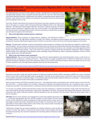 The Andes Mountains are home to lakes, lagoons, marshes, and bogs that are collectively known as
the high Andean wetlands. These ecosystems provide fresh water for more than 100 million people
and provide important habitat for valuable plants and wildlife, including Neotropical migratory birds.
However, major threats to these wetlands are putting the well-being of human and animal popula-
tions that depend on them at risk.
Since 2011, BirdLife International and a group of local partners have been working across four coun-
tries in the region on a project called “Conserving Neotropical Migratory Birds in the High Andean
Wetlands.” We talked with Isadora Angarita-Martínez, the project’s regional coordinator, and Patricia
Marconi, project coordinator in Argentina, about the current situation in the high Andean wetlands
and how the project is working with governments and local communities to protect these ecosystems
and contribute to migratory bird conservation.
 Why are the high Andean wetlands special or important?
Angarita-Martínez: These ecosystems are large producers, regulators, and storehouses of water in
the Andean countries. The high Andean wetlands of Ecuador, Peru, Bolivia, and Argentina provide stopover and overwintering habitats for ap-
proximately 15 species of Neotropical migratory birds of interest to conservation and are also home to farming and indigenous communities.
Marconi: The high Andean wetlands, as well as the grasslands or puna ecosystems in Catamarca, the most extensive in Argentina, provide impor-
tant bird habitat. They are summer concentration and nesting sites for the two species of high Andean flamingos (Phoenicoparrus andinus and P.
jamesi), and safeguard all the endemic and characteristic species of the Altos Andes and the puna, such as the giant coot (Fulica gigantea) and the
Andean avocet (Recurvirostra andina). They’re also home to five species of migratory birds from the Northern Hemisphere: Baird’s sandpiper
(Calidris bairdii), lesser yellowlegs (Tringa flavipes), greater yellowlegs (Tringa melanoleuca), Wilson’s phalarope (Steganopus tricolor), and the
American golden plover (Pluvialis dominica).
 What are the main threats to these ecosystems?
Angarita-Martínez: They are seriously threatened by mining, which has cleared vegetation and contaminated water sources, as well as the un-
regulated growth in agriculture, ranching, and tourism. These activities are largely unregulated since it’s difficult for authorities to reach and
guard the ecosystems. Moreover, most of the conservation efforts on this continent have been focused on forests and jungles and not so much
on other ecosystems such as the high Andean wetlands, savannahs and natural grasslands.
Read full article at: http://www.mtnforum.org/en/news/2013-05-30/conserving-neotropical-migratory-birds-high-andean-wetlands-birdlife-international
Researchers have both created and relieved symptoms of obsessive-compulsive disorder (OCD) in genetically modified mice using a technique
that turns brain cells on and off with light, known as optogenetics. The work, by two separate teams, confirms the neural circuits that contribute
to the condition and points to treatment targets. It also provides insight into how quickly compulsive behaviours can develop — and how quickly
they might be soothed. The results of the studies are published in Science.
Brain scanning in humans with OCD has pointed to two areas — the orbitofrontal cortex, just behind the eyes, and the striatum, a hub in the mid-
dle of the brain — as being involved in the condition's characteristic repetitive and compulsive behaviours. But “in people we have no way of
testing cause and effect”, says Susanne Ahmari, a psychiatrist and neuroscientist at Columbia University in New York who led one of the studies.
It is not clear, for example, whether abnormal brain activity causes the compulsions, or whether the behaviour simply results from the brain try-
ing to hold symptoms at bay by compensating. “There’s been a big debate in the field,” says Satinder Kaur Singh of Yale University in New Haven,
Connecticut, who studies molecules involved in OCD-like disorders but was not involved in the new studies. “What the Ahmari paper shows is
that it is causative.”
Off Switch. Ahmari’s team wanted to see if optogenetics could prompt repetitive grooming in mice
— a commonly used equivalent sign of an OCD-like condition in animal models. The team injected
viruses into the orbitofrontal cortex carrying genes for light-sensitive proteins. Certain nerve cells
then began to produce the protein and became sensitive to light. The researchers then inserted an
optical fibre to shine a light on these cells for a few minutes a day. It was only after a few days that
they started to see the compulsive behaviour.
“Beforehand, I thought that we would immediately see repetitive behaviours when the light was
turned on,” Ahmari says. Rather, it seemed to be chronic activity in these networks that sets off
the abnormal grooming. That could have implications for how these patterns of behaviour develop
in humans.
Read full article at: http://www.nature.com/news/compulsive-behaviour-triggered-and-treated-1.13144
CONSERVATION: Conserving Neotropical Migratory Birds in the High Andean Wetlands,
BirdLife International By Yessenia Soto
Photo by @Doug88888(flickr user). Under Creative Commons
License.
PhotobyAaron Logan.UnderWikimediaCommonsLicense.
HEALTH: Compulsive Behaviour Triggered and Treated By Kerry Smith
 