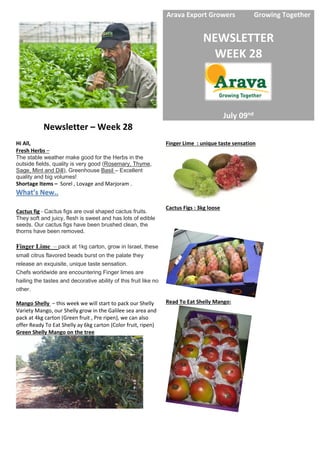 Arava Export Growers Growing Together
NEWSLETTER
WEEK 28
July 09nd
Newsletter – Week 28
Hi All,
Fresh Herbs –
The stable weather make good for the Herbs in the
outside fields, quality is very good (Rosemary, Thyme,
Sage, Mint and Dill), Greenhouse Basil – Excellent
quality and big volumes!
Shortage Items – Sorel , Lovage and Marjoram .
What’s New..
Cactus figs are oval shaped cactus fruits.-Cactus fig
They soft and juicy, flesh is sweet and has lots of edible
seeds. Our cactus figs have been brushed clean, the
thorns have been removed.
Finger Lime – pack at 1kg carton, grow in Israel, these
small citrus flavored beads burst on the palate they
release an exquisite, unique taste sensation.
Chefs worldwide are encountering Finger limes are
hailing the tastes and decorative ability of this fruit like no
other.
start to pack our Shellythis week we will–llyMango She
Variety Mango, our Shelly grow in the Galilee sea area and
pack at 4kg carton (Green fruit , Pre ripen), we can also
offer Ready To Eat Shelly ay 6kg carton (Color fruit, ripen)
treeGreen Shelly Mango on the
Finger Lime : unique taste sensation
Cactus Figs : 3kg loose
Read To Eat Shelly Mango:
 