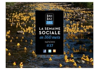 LA SEMAINE
SOCIALE
en 360 mots
  04/12/2012
   #37
 