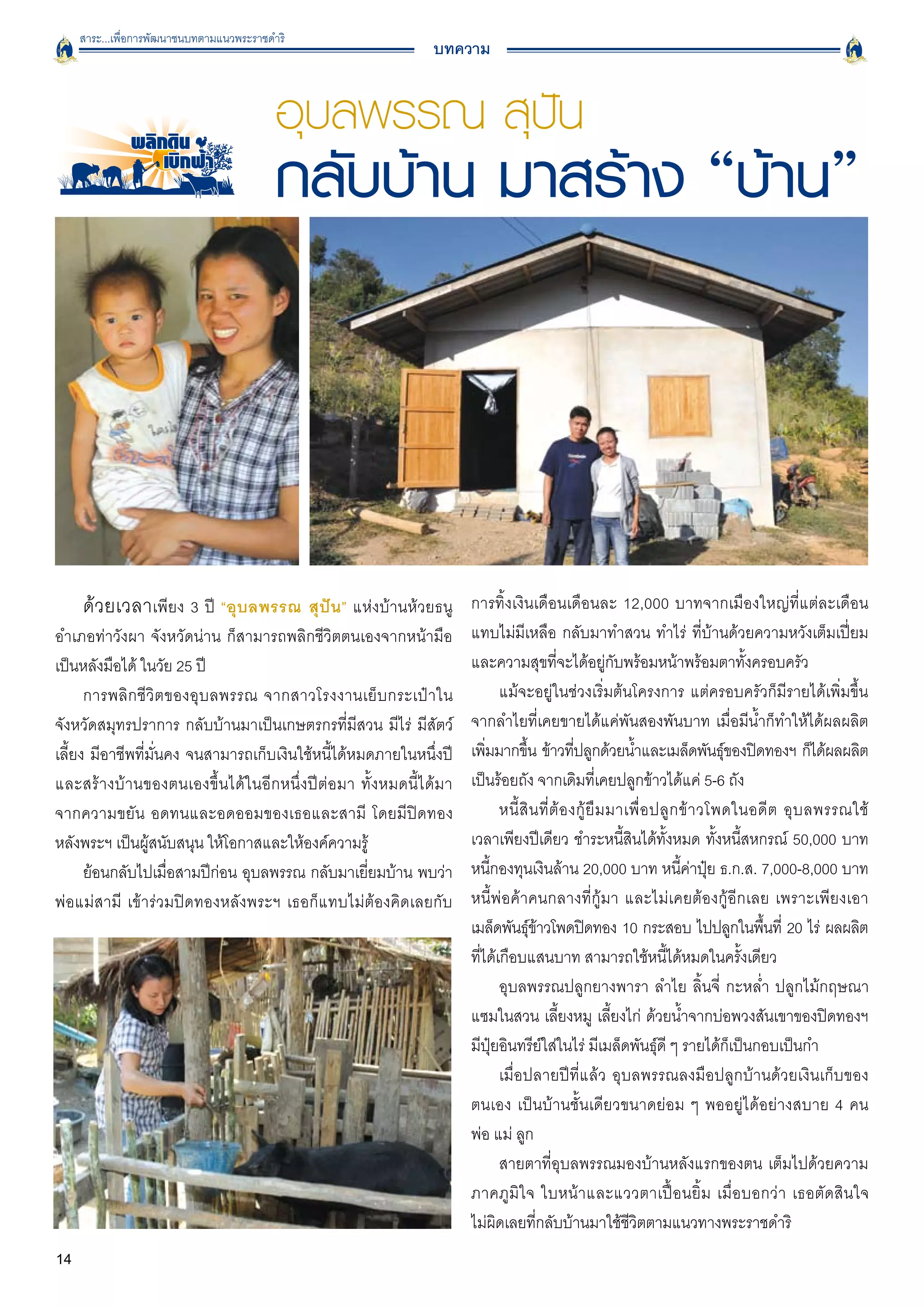 สาระ...เพื่อการพัฒนาชนบทตามแนวพระราชดำริ
                                                              บทความ


                                           อุบลพรรณ สุปัน
                                           กลับบ้าน มาสร้าง “บ้าน”



     ด้วยเวลาเพียง 3 ปี “อุบลพรรณ สุปัน” แห่งบ้านห้วยธนู การทิ้งเงินเดือนเดือนละ 12,000 บาทจากเมืองใหญ่ที่แต่ละเดือน
อำเภอท่าวังผา จังหวัดน่าน ก็สามารถพลิกชีวิตตนเองจากหน้ามือ           แทบไม่มีเหลือ กลับมาทำสวน ทำไร่ ที่บ้านด้วยความหวังเต็มเปี่ยม
เป็นหลังมือได้ ในวัย 25 ปี 
                                         และความสุขที่จะได้อยู่กับพร้อมหน้าพร้อมตาทั้งครอบครัว 
      การพลิ ก ชี วิ ต ของอุ บ ลพรรณ จากสาวโรงงานเย็ บ กระเป๋ า ใน          แม้จะอยู่ในช่วงเริ่มต้นโครงการ แต่ครอบครัวก็มีรายได้เพิ่มขึ้น
จังหวัดสมุทรปราการ กลับบ้านมาเป็นเกษตรกรที่มีสวน มีไร่ มีสัตว์       จากลำไยที่เคยขายได้แค่พันสองพันบาท เมื่อมีน้ำก็ทำให้ได้ผลผลิต
เลี้ยง มีอาชีพที่มั่นคง จนสามารถเก็บเงินใช้หนี้ได้หมดภายในหนึ่งปี    เพิมมากขึน ข้าวทีปลูกด้วยน้ำและเมล็ดพันธุของปิดทองฯ ก็ได้ผลผลิต
                                                                         ่        ้             ่                               ์
และสร้างบ้านของตนเองขึ้นได้ในอีกหนึ่งปีต่อมา ทั้งหมดนี้ได้มา
        เป็นร้อยถัง จากเดิมที่เคยปลูกข้าวได้แค่ 5-6 ถัง 
จากความขยัน อดทนและอดออมของเธอและสามี โดยมีปิดทอง
                          หนี้ สิ น ที่ ต้ อ งกู้ ยื ม มาเพื่ อ ปลู ก ข้ า วโพดในอดี ต อุ บ ลพรรณใช้

หลังพระฯ เป็นผู้สนับสนุน ให้โอกาสและให้องค์ความรู้
                  เวลาเพียงปีเดียว ชำระหนี้สินได้ทั้งหมด ทั้งหนี้สหกรณ์ 50,000 บาท
      ย้อนกลับไปเมื่อสามปีก่อน อุบลพรรณ กลับมาเยี่ยมบ้าน พบว่า       หนี้กองทุนเงินล้าน 20,000 บาท หนี้ค่าปุ๋ย ธ.ก.ส. 7,000-8,000 บาท
พ่อแม่สามี เข้าร่วมปิดทองหลังพระฯ เธอก็แทบไม่ต้องคิดเลยกับ
          หนี้พ่อค้าคนกลางที่กู้มา และไม่เคยต้องกู้อีกเลย เพราะเพียงเอา
                                                                     เมล็ดพันธุขาวโพดปิดทอง 10 กระสอบ ไปปลูกในพืนที่ 20 ไร่ ผลผลิต

                                                                                    ์้                                               ้
                                                                     ที่ได้เกือบแสนบาท สามารถใช้หนี้ได้หมดในครั้งเดียว
                                                                            อุบลพรรณปลูกยางพารา ลำไย ลิ้นจี่ กะหล่ำ ปลูกไม้กฤษณา
                                                                     แซมในสวน เลี้ยงหมู เลี้ยงไก่ ด้วยน้ำจากบ่อพวงสันเขาของปิดทองฯ
                                                                     มีปุ๋ยอินทรีย์ใส่ในไร่ มีเมล็ดพันธุ์ดี ๆ รายได้ก็เป็นกอบเป็นกำ
                                                                            เมื่อปลายปีที่แล้ว อุบลพรรณลงมือปลูกบ้านด้วยเงินเก็บของ
                                                                     ตนเอง เป็นบ้านชั้นเดียวขนาดย่อม ๆ พออยู่ได้อย่างสบาย 4 คน

                                                                     พ่อ แม่ ลูก 
                                                                            สายตาที่อุบลพรรณมองบ้านหลังแรกของตน เต็มไปด้วยความ
                                                                     ภาคภูมิใจ ใบหน้าและแววตาเปื้อนยิ้ม เมื่อบอกว่า เธอตัดสินใจ

                                                                     ไม่ผิดเลยที่กลับบ้านมาใช้ชีวิตตามแนวทางพระราชดำริ
14
 