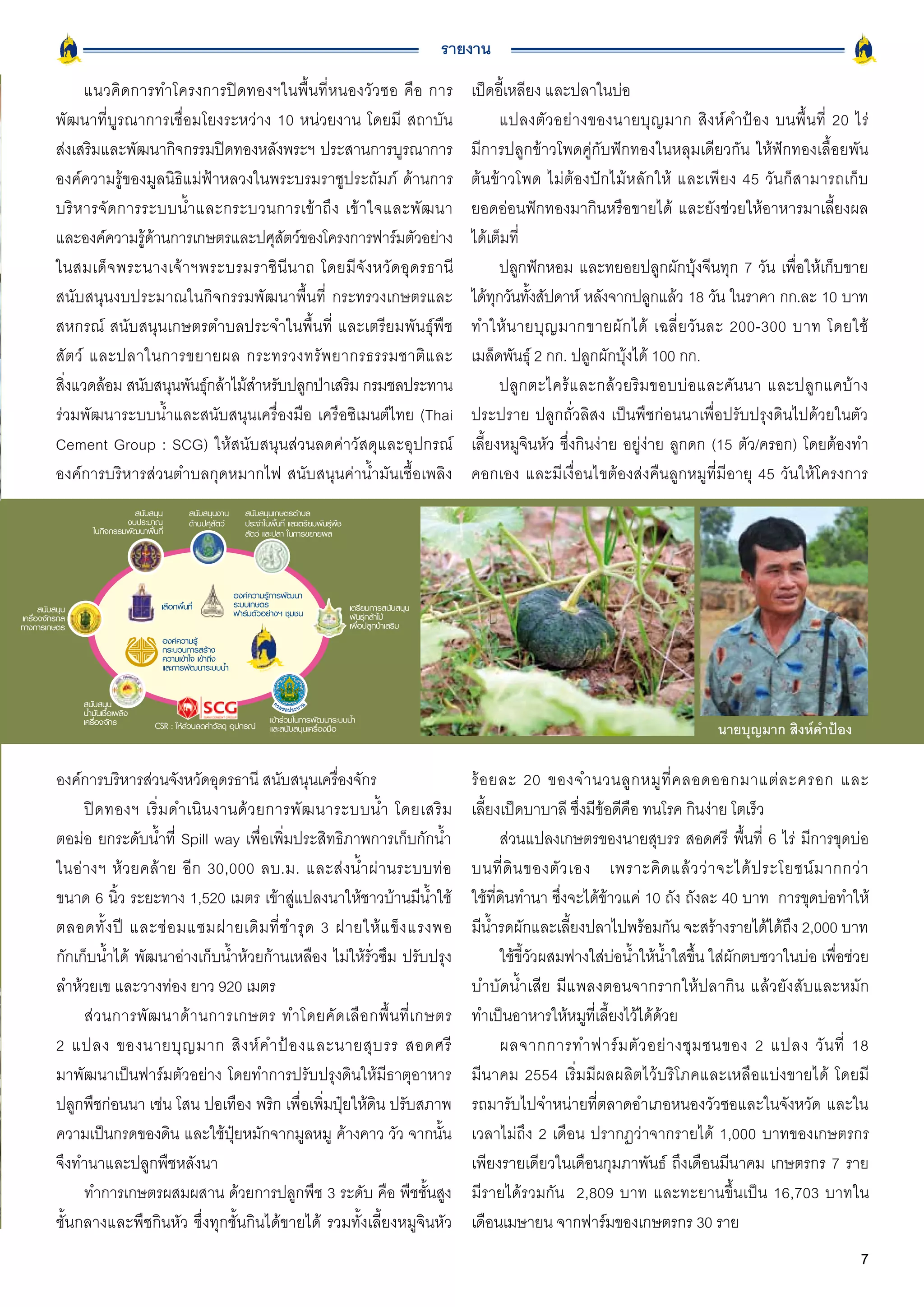 รายงาน
                แนวคิดการทำโครงการปิดทองฯในพื้นที่หนองวัวซอ คือ การ                                                          เป็ดอี้เหลียง และปลาในบ่อ
           พัฒนาที่บูรณาการเชื่อมโยงระหว่าง 10 หน่วยงาน โดยมี สถาบัน                                                                แปลงตัวอย่างของนายบุญมาก สิงห์คำป้อง บนพื้นที่ 20 ไร่
           ส่งเสริมและพัฒนากิจกรรมปิดทองหลังพระฯ ประสานการบูรณาการ                                                           มีการปลูกข้าวโพดคู่กับฟักทองในหลุมเดียวกัน ให้ฟักทองเลื้อยพัน
           องค์ความรู้ของมูลนิธิแม่ฟ้าหลวงในพระบรมราชูประถัมภ์ ด้านการ                                                       ต้นข้าวโพด ไม่ต้องปักไม้หลักให้ และเพียง 45 วันก็สามารถเก็บ
           บริหารจัดการระบบน้ำและกระบวนการเข้าถึง เข้าใจและพัฒนา                                                             ยอดอ่อนฟักทองมากินหรือขายได้ และยังช่วยให้อาหารมาเลี้ยงผล
           และองค์ความรูดานการเกษตรและปศุสตว์ของโครงการฟาร์มตัวอย่าง
                         ้ ้                    ั                                                                            ได้เต็มที่
           ในสมเด็ จ พระนางเจ้ า ฯพระบรมราชิ นี น าถ โดยมี จั ง หวั ด อุ ด รธานี                                                    ปลูกฟักหอม และทยอยปลูกผักบุ้งจีนทุก 7 วัน เพื่อให้เก็บขาย
           สนับสนุนงบประมาณในกิจกรรมพัฒนาพื้นที่ กระทรวงเกษตรและ                                                             ได้ทกวันทังสัปดาห์ หลังจากปลูกแล้ว 18 วัน ในราคา กก.ละ 10 บาท
                                                                                                                                  ุ     ้
           สหกรณ์ สนับสนุนเกษตรตำบลประจำในพื้นที่ และเตรียมพันธุ์พืช                                                         ทำให้ น ายบุ ญ มากขายผั ก ได้ เฉลี่ ย วั น ละ 200-300 บาท โดยใช้
           สัตว์ และปลาในการขยายผล กระทรวงทรัพยากรธรรมชาติและ                                                                เมล็ดพันธุ์ 2 กก. ปลูกผักบุ้งได้ 100 กก.
           สิงแวดล้อม สนับสนุนพันธุกล้าไม้สำหรับปลูกป่าเสริม กรมชลประทาน
             ่                      ์                                                                                               ปลูกตะไคร้และกล้วยริมขอบบ่อและคันนา และปลูกแคบ้าง
           ร่วมพัฒนาระบบน้ำและสนับสนุนเครื่องมือ เครือซิเมนต์ไทย (Thai                                                       ประปราย ปลูกถั่วลิสง เป็นพืชก่อนนาเพื่อปรับปรุงดินไปด้วยในตัว
           Cement Group : SCG) ให้สนับสนุนส่วนลดค่าวัสดุและอุปกรณ์                                                           เลี้ยงหมูจินหัว ซึ่งกินง่าย อยู่ง่าย ลูกดก (15 ตัว/ครอก) โดยต้องทำ
           องค์การบริหารส่วนตำบลกุดหมากไฟ สนับสนุนค่าน้ำมันเชื้อเพลิง                                                        คอกเอง และมีเงื่อนไขต้องส่งคืนลูกหมูที่มีอายุ 45 วันให้โครงการ
                               สนับสนุน         สนับสนุนงาน       สนับสนุนเกษตรตำบล
                            งบประมาณ            ดานปศุสัตว      ประจำในพื้นที่ และเตรียมพันธุพืช
                    ในกจกรรมพฒนาพนท่ี
                       ิ     ั      ้ื                            สัตว และปลา ในการขยายผล




                                                               องคความรูการพัฒนา
      สนับสนุน                        เลือกพื้นที่             ระบบเกษตร                              เตรียมการสนับสนุน
เครื่องจักรกล                                                  ฟารมตัวอยางฯ ชุมชน                   พันธุกลาไม
ทางการเกษตร                                                                                           เพื่อปลูกปาเสริม
                                      องคความรู
                                      กระบวนการสราง
                                      ความเขาใจ เขาถึง
                                      และการพัฒนาระบบน้ำ


                 สนับสนุน
                 น้ำมันเชื้อเพลิง
                 เครื่องจักร                                              เขารวมในการพัฒนาระบบน้ำ
                                    CSR : ใหสวนลดคาวัสดุ อุปกรณ       และสนับสนุนเครื่องมือ                                                                        นายบุญมาก สิงห์คำป้อง

           องค์การบริหารส่วนจังหวัดอุดรธานี สนับสนุนเครื่องจักร                                                              ร้ อ ยละ 20 ของจำนวนลู ก หมู ที่ ค ลอดออกมาแต่ ล ะครอก และ
                ปิ ด ทองฯ เริ่ ม ดำเนิ น งานด้ ว ยการพั ฒ นาระบบน้ ำ โดยเสริ ม                                               เลี้ยงเป็ดบาบาลี ซึ่งมีข้อดีคือ ทนโรค กินง่าย โตเร็ว
           ตอม่อ ยกระดับน้ำที่ Spill way เพื่อเพิ่มประสิทธิภาพการเก็บกักน้ำ                                                        ส่วนแปลงเกษตรของนายสุบรร สอดศรี พื้นที่ 6 ไร่ มีการขุดบ่อ
           ในอ่ า งฯ ห้ ว ยคล้ า ย อี ก 30,000 ลบ.ม. และส่ ง น้ ำ ผ่ า นระบบท่ อ                                             บนที่ ดิ น ของตั ว เอง เพราะคิ ด แล้ ว ว่ า จะได้ ป ระโยชน์ ม ากกว่ า
           ขนาด 6 นิ้ว ระยะทาง 1,520 เมตร เข้าสู่แปลงนาให้ชาวบ้านมีน้ำใช้                                                    ใช้ที่ดินทำนา ซึ่งจะได้ข้าวแค่ 10 ถัง ถังละ 40 บาท การขุดบ่อทำให้
           ตลอดทั้ ง ปี และซ่ อ มแซมฝายเดิ ม ที่ ช ำรุ ด 3 ฝายให้ แ ข็ ง แรงพอ                                               มีน้ำรดผักและเลี้ยงปลาไปพร้อมกัน จะสร้างรายได้ได้ถึง 2,000 บาท
           กักเก็บน้ำได้ พัฒนาอ่างเก็บน้ำห้วยก้านเหลือง ไม่ให้รั่วซึม ปรับปรุง                                                     ใช้ขี้วัวผสมฟางใส่บ่อน้ำให้น้ำใสขึ้น ใส่ผักตบชวาในบ่อ เพื่อช่วย
           ลำห้วยเข และวางท่อง ยาว 920 เมตร                                                                                  บำบัดน้ำเสีย มีแพลงตอนจากรากให้ปลากิน แล้วยังสับและหมัก
                ส่ ว นการพั ฒ นาด้ า นการเกษตร ทำโดยคั ด เลื อ กพื้ น ที่ เ กษตร                                             ทำเป็นอาหารให้หมูที่เลี้ยงไว้ได้ด้วย
           2 แปลง ของนายบุ ญ มาก สิ ง ห์ ค ำป้ อ งและนายสุ บ รร สอดศรี                                                             ผลจากการทำฟาร์ ม ตั ว อย่ า งชุ ม ชนของ 2 แปลง วั น ที่ 18
           มาพัฒนาเป็นฟาร์มตัวอย่าง โดยทำการปรับปรุงดินให้มีธาตุอาหาร                                                        มีนาคม 2554 เริ่มมีผลผลิตไว้บริโภคและเหลือแบ่งขายได้ โดยมี
           ปลูกพืชก่อนนา เช่น โสน ปอเทือง พริก เพื่อเพิ่มปุ๋ยให้ดิน ปรับสภาพ                                                 รถมารับไปจำหน่ายที่ตลาดอำเภอหนองวัวซอและในจังหวัด และใน
           ความเป็นกรดของดิน และใช้ปุ๋ยหมักจากมูลหมู ค้างคาว วัว จากนั้น                                                     เวลาไม่ถึง 2 เดือน ปรากฏว่าจากรายได้ 1,000 บาทของเกษตรกร
           จึงทำนาและปลูกพืชหลังนา                                                                                           เพียงรายเดียวในเดือนกุมภาพันธ์ ถึงเดือนมีนาคม เกษตรกร 7 ราย
                ทำการเกษตรผสมผสาน ด้วยการปลูกพืช 3 ระดับ คือ พืชชั้นสูง                                                      มีรายได้รวมกัน 2,809 บาท และทะยานขึ้นเป็น 16,703 บาทใน
           ชั้นกลางและพืชกินหัว ซึ่งทุกชั้นกินได้ขายได้ รวมทั้งเลี้ยงหมูจินหัว                                               เดือนเมษายน จากฟาร์มของเกษตรกร 30 ราย
                                                                                                                                                                                                7
 