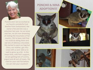 PONCHO & NINA ADOPTION!!!!Poncho and I are so excited as we found a wonderful God Mother from Switzerland. Her name is Pat and she was a volunteer last year. As we never met her, we are now dreaming of visiting the mountains of her country. We’ve been told that we could do skiing there and eat lots of delicious chocolate. We started to pack our bag but Chico, our mother, got very cross with us and  told us to wait to grow up a bit. In the mean time, with Pat’s support, we are getting lots of worms, yogurt and all sort of treats. We wait for your visit Pat before we can visit your country!!!