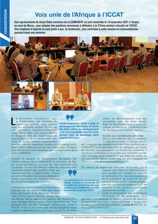 COMHAFAT / ATLAFCO NEWSLETTER - N° 008 Décembre /December 2021
20
L
a Commission Internationale pour
la Conservation des Thonidés de
l’Atlantique (CICTA, plus connue
sous son acronyme anglais ICCAT) est
une organisation intergouvernementale
créée depuis 1969, avec siège à Madrid
en Espagne. Elle est responsable de
l’exploitation et de la conservation des
thons et autres espèces apparentées
(bonites, marlons, espadons, grands requins pélagiques),
dans l’océan Atlantique et les mers adjacentes. Plusieurs
pays africains en sont membres, dont une quinzaine de la
zone COMHAFAT.
Comme l’a souligné M. Abdelouahed Benabbou, Se-
crétaire exécutif de la COMHAFAT, la rencontre de Tan-
ger s’inscrivait dans la stratégie qui vise à renforcer et à
consolider ‘’la Voix de l’Afrique’’ dans les instances inter-
nationales traitant des questions liées aux
espèces marines. L’objectif étant «d’assu-
rer une participation active des délégués, à
travers notamment une meilleure coordina-
tion et harmonisation des positions.»
L’Afrique du Sud s’est joint à la Déclaration
adoptée par les représentants des douze
États participant à la rencontre (Angola,
Côte d’Ivoire, Gabon, Gambie, Ghana, Gui-
née Bissau, Maroc, Mauritanie, Nigéria, Sao Tomé et Prin-
cipe, Sénégal, Sierra Leone). Cette Déclaration sur ‘’l’ex-
ploitation des thonidés tropicaux’’ indique entre autres à
l’ICCAT, et sur un ton ferme, que «toute proposition visant
à geler le développement des flottes de pêche des États
côtiers en développement n’est pas
compatible avec les droits desdits
États de développer leurs propres pê-
cheries, et d’exploiter, conserver et gé-
rer les ressources marines vivantes.»
Soutien aux candidatures africaines
Pour le suivi efficient des propositions,
il a été mis sur pied un Groupe de tra-
vail, composé des représentants des États membres de la
COMHAFAT (et en principe chefs de délégation au niveau
de l’ICCAT). Les participants ont montré leur solidarité, à
travers un consensus sur le soutien aux candidatures des
pays membres de la COMHAFAT aux différents postes au
sein de l’ICCAT (Maroc entant que 1er Vice-Président, et
Ghana à la tête de la sous-commission 1).
Par ailleurs, au regard des difficultés rencontrées par la
majorité des États en développement
pour accéder aux réunions en ligne, et
en considérant la maitrise progressive
de la pandémie du Covid-19, ils ont
exhorté l’ICCAT à une «reprise progres-
sive des réunions en présentiel pour les
sessions où des décisions importantes
devraient être prises.»
Après la concertation, des dispositions
techniques ont été aménagées, pour
permettre aux délégués et experts présents de suivre et
de participer ensemble, à partir d’un hôtel à Tanger, aux
travaux de la 27e réunion ordinaire virtuelle de l’ICCAT, du
15 au 23 Novembre 2021.
Voix unie de l’Afrique à l’ICCAT
CONCERTATION
Des représentants de douze États membres de la COMHAFAT se sont concertés le 14 novembre 2021 à Tanger,
au nord du Maroc, pour adopter des positions communes à défendre à la 27ème session virtuelle de l’ICCAT.
Une vingtaine d’experts se sont joints à eux le lendemain, pour participer à cette session en visioconférence
pendant toute une semaine.
«Toute proposition visant à geler le
développement des flottes de pêche
des États côtiers en développement
n’est pas compatible avec les droits
desdits États de développer leurs
propres pêcheries»
Les participants ont montré leur so-
lidarité, à travers un consensus sur
le soutien aux candidatures des pays
membres de la COMHAFAT aux diffé-
rents postes au sein de l’ICCAT.
 