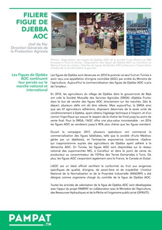 Photos : Dégustation des figues de Djebba AOC de la société Fruits Medina au MG
Ennasser à Tunis (à droite) ; Dégustation des figues de Djebba AOC au Carrefour La
Marsa à Tunis (au milieu) ; Palettes de figues de Djebba AOC prêtes pour l’exportation
à Dubaï de la société Sadira (à gauche)
Les figues de Djebba sont devenues en 2012 le premier et seul fruit en Tunisie à
avoir reçu une appellation d’origine contrôlée (AOC) par arrêté du Ministre de
l’agriculture. Aujourd’hui la commercialisation des figues de Djebba AOC a pris
de l’ampleur.
En 2014, les agriculteurs du village de Djebba dans le gouvernorat de Béjà
ont créé la Société Mutuelle des Services Agricoles (SMSA) «Djebba Fruits»
dans le but de vendre des figues AOC directement sur les marchés. Dès le
départ, plusieurs défis ont dû être relevés. Mais aujourd’hui, la SMSA ainsi
que ses 67 agriculteurs adhérents, disposent désormais de la seule unité de
conditionnement à Djebba, ayant obtenu l’agréage technique à l’export, et d’un
camion frigorifique qui assure le respect de la chaîne de froid jusqu’au point de
vente final. Pour la SMSA, l’AOC offre une plus-value incontestable : en 2016
les figues AOC se vendaient jusqu’à 80% plus chères que les figues standard.
Durant la campagne 2017, plusieurs opérateurs ont commencé la
commercialisation des figues labélisées, telle que la société «Fruits Medina»
gérée par un djebbaois, et l’entreprise exportatrice tunisienne «Sadira»
qui s’approvisionne auprès des agriculteurs de Djebba ayant adhéré à la
démarche AOC. En Tunisie, les figues AOC sont disponibles sur le réseau
national des supermarchés MG, à Carrefour et dans le point de vente du
producteur au consommateur de l’Office des Terres Domaniales à Tunis. De
plus, les figues AOC s’exportent également vers la France, le Canada et Dubaï.
L’AOC est un label officiel certifiant la conformité du fruit aux exigences
spécifiques de qualité, d’origine, de savoir-faire et de traçabilité. L’Institut
National de la Normalisation et de la Propriété Industrielle (INNORPI) a été
désigné comme organisme chargé du contrôle de la figue de Djebba AOC.
Toutes les activités de valorisation de la figue de Djebba AOC sont développées
avec l’appui du projet PAMPAT en collaboration avec le Ministère de l’Agriculture,
des Ressources Hydrauliques et de la Pêche et l’organisme public-privé GIFRUITS.
FILIERE
FIGUE DE
DJEBBA
AOC
chef de file:
Direction Générale de
la Production Agricole
Les Figues de Djebba
AOC continuent
leur percée sur le
marché national et
international
 