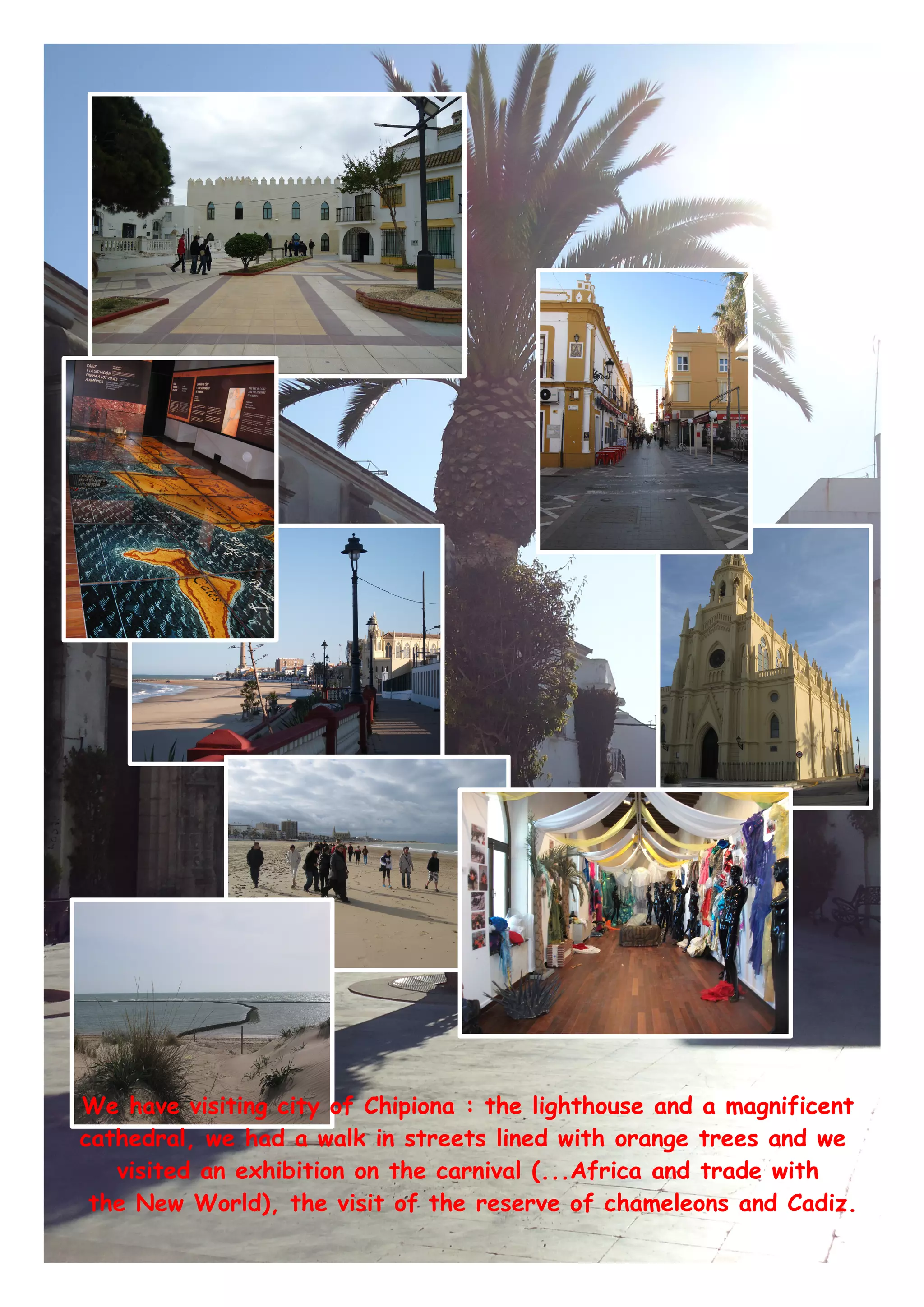 We have visiting city of Chipiona : the lighthouse and a magnificent
cathedral, we had a walk in streets lined with orange trees and we
visited an exhibition on the carnival (...Africa and trade with
the New World), the visit of the reserve of chameleons and Cadiz.
 
