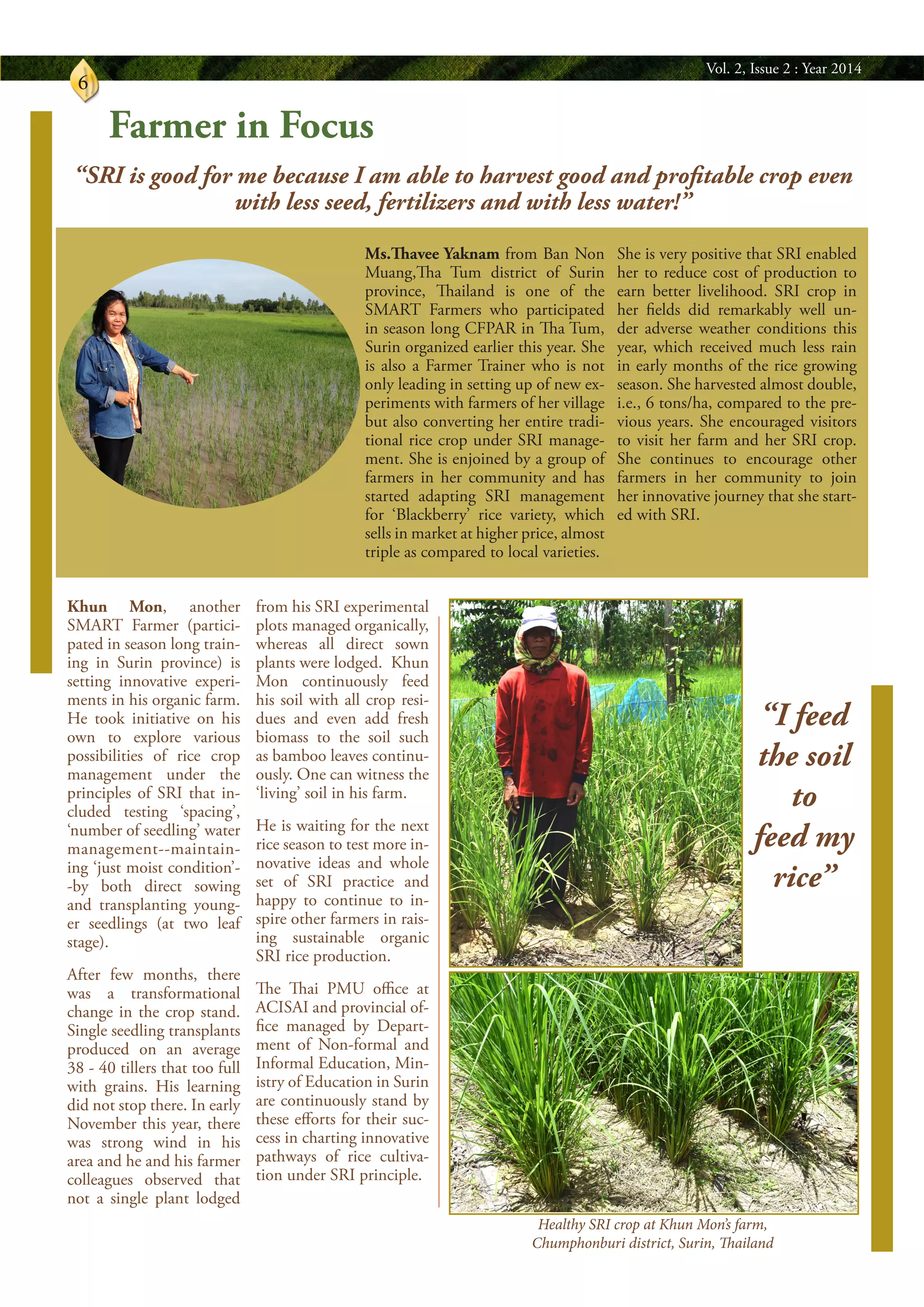 Vol. 2, Issue 2 : Year 2014
6
Farmer in Focus
Ms.Thavee Yaknam from Ban Non
Muang,Tha Tum district of Surin
province, Thailand is one of the
SMART Farmers who participated
in season long CFPAR in Tha Tum,
Surin organized earlier this year. She
is also a Farmer Trainer who is not
only leading in setting up of new ex-
periments with farmers of her village
but also converting her entire tradi-
tional rice crop under SRI manage-
ment. She is enjoined by a group of
farmers in her community and has
started adapting SRI management
for ‘Blackberry’ rice variety, which
sells in market at higher price, almost
triple as compared to local varieties.
She is very positive that SRI enabled
her to reduce cost of production to
earn better livelihood. SRI crop in
her fields did remarkably well un-
der adverse weather conditions this
year, which received much less rain
in early months of the rice growing
season. She harvested almost double,
i.e., 6 tons/ha, compared to the pre-
vious years. She encouraged visitors
to visit her farm and her SRI crop.
She continues to encourage other
farmers in her community to join
her innovative journey that she start-
ed with SRI.
“SRI is good for me because I am able to harvest good and profitable crop even
with less seed, fertilizers and with less water!”
Khun Mon, another
SMART Farmer (partici-
pated in season long train-
ing in Surin province) is
setting innovative experi-
ments in his organic farm.
He took initiative on his
own to explore various
possibilities of rice crop
management under the
principles of SRI that in-
cluded testing ‘spacing’,
‘number of seedling’ water
management--maintain-
ing ‘just moist condition’-
-by both direct sowing
and transplanting young-
er seedlings (at two leaf
stage).
After few months, there
was a transformational
change in the crop stand.
Single seedling transplants
produced on an average
38 - 40 tillers that too full
with grains. His learning
did not stop there. In early
November this year, there
was strong wind in his
area and he and his farmer
colleagues observed that
not a single plant lodged
from his SRI experimental
plots managed organically,
whereas all direct sown
plants were lodged. Khun
Mon continuously feed
his soil with all crop resi-
dues and even add fresh
biomass to the soil such
as bamboo leaves continu-
ously. One can witness the
‘living’ soil in his farm.
He is waiting for the next
rice season to test more in-
novative ideas and whole
set of SRI practice and
happy to continue to in-
spire other farmers in rais-
ing sustainable organic
SRI rice production.
The Thai PMU office at
ACISAI and provincial of-
fice managed by Depart-
ment of Non-formal and
Informal Education, Min-
istry of Education in Surin
are continuously stand by
these efforts for their suc-
cess in charting innovative
pathways of rice cultiva-
tion under SRI principle.
“I feed
the soil
to
feed my
rice”
Healthy SRI crop at Khun Mon’s farm,
Chumphonburi district, Surin, Thailand
 