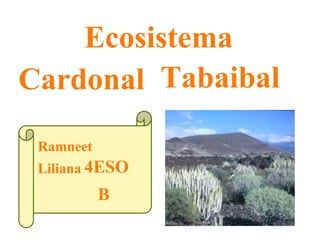 Ecosistema
Cardonal Tabaibal
4ESO
B
Ramneet
Liliana
 