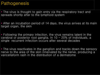 • The virus is thought to gain entry via the respiratory tract and
spreads shortly after to the lymphoid system
• After an incubation period of 14 days, the virus arrives at its main
target organ, the skin
• Following the primary infection, the virus remains latent in the
cerebral or posterior root ganglia. In 10 - 20% of individuals, a
single recurrent infection occurs after several decades
• The virus reactivates in the ganglion and tracks down the sensory
nerve to the area of the skin innervated by the nerve, producing a
varicellaform rash in the distribution of a dermatome
Pathogenesis
 