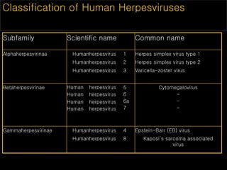 Classification of Human Herpesviruses
Subfamily Scientific name Common name
Alphaherpesvirinae Humanherpesvirus 1 Herpes simplex virus type 1
Humanherpesvirus 2 Herpes simplex virus type 2
Humanherpesvirus 3 Varicella-zoster virus
Betaherpesvirinae Human
Human
Human
Human
herpesvirus
herpesvirus
herpesvirus
herpesvirus
5
6
6a
7
Cytomegalovirus
-
-
-
Gammaherpesvirinae Humanherpesvirus 4 Epstein-Barr (EB) virus
Humanherpesvirus 8 Kaposi’s sarcoma associated
virus
 