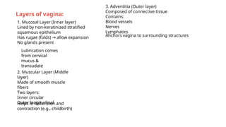 Reproductive system anatomy male and female | PPTX