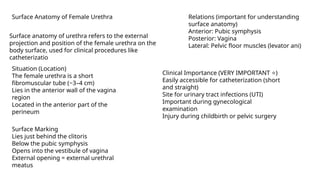 Reproductive system anatomy male and female | PPTX