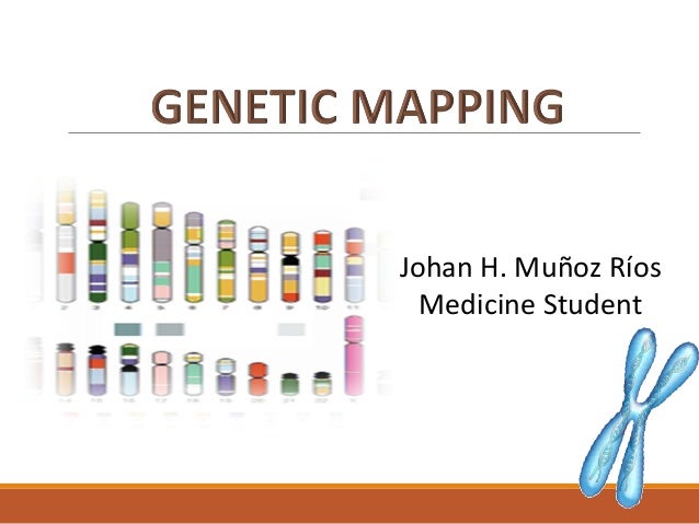 Types Of Gene Mapping