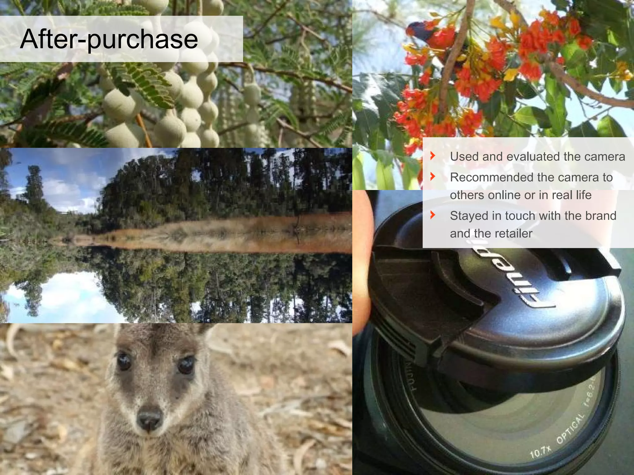 After-purchase Used and evaluated the camera Recommended the camera to others online or in real life Stayed in touch with the brand and the retailer 