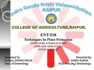COLLEGE OF AGRICULTURE,RAIPUR.
Presented To; Presented By;
Dr.(Mrs.) SONALI DEOLE SHEKH ALISHA
Dept. of Entomology M.Sc. Prev.(Ag.) Entomology
ENT-518
Techniques In Plant Protection
TOPIC:SOIL STERILIZATION
(SOIL SOLARIZATION)
SESSION 2018-19
 