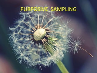 PURPOSIVE SAMPLING
 