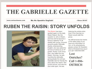 RUBEN THE RAISIN: STORY UNFOLDS The Raisin  has been spotted again on the daily Raisin Report. But the question is: who is Raisin, and how did he become a famous celebrity? It all started with young, innocent seventh grader Gabrielle. Hardly understanding English, she was asked for her box of raisins by an 8 th  grader: Ruben. Ever since then, she called the boy Raisin. One day, he was haunting the stairwells, giving people the evil eye. Gabrielle told her friends the story about the raisins. She turned around, and saw the door wide open. He was  listening the whole entire time! From that day on, Raisin would stalk the group.  He still terrorizes the hearts of the table today! If you have any information on him, or his whereabouts, please contact Sir Question Mark at findraisinnow.org or just call 1-800-RAI-SIN!  THE GABRIELLE GAZETTE www.swisscheese.com Me No Speakin English! - Since 2010? Lost Ostriches?  Call 1-886-OSTRICH 