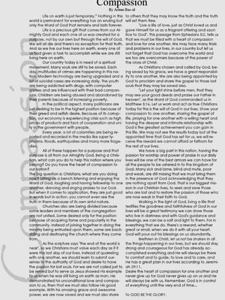 PineBreeze Newspaper