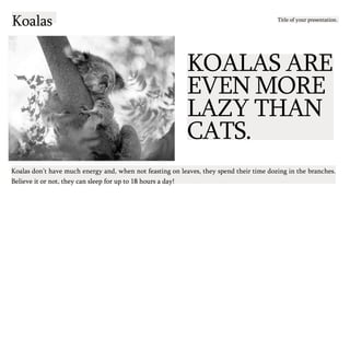 Koalas Title of your presentation.
KOALAS ARE
EVEN MORE
LAZY THAN
CATS.
Koalas don’t have much energy and, when not feasting on leaves, they spend their time dozing in the branches.
Believe it or not, they can sleep for up to 18 hours a day!
 