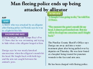AAP
A MAN who was attacked by an alligator
after fleeing police in Florida says he was
in a fight for his life.
Bryan Zuniga, 20, told Tampa Bay's Fox
13 News that he was swimming and trying
to hide when a the alligator lunged at him.
Zuniga says he was nearly knocked
unconscious when the alligator's mouth hit
his head. He fought back with both legs
and the arm not caught between the
animal's jaws.
"I thought I was going to die," he told Fox
13 News.
"The moment the gator's mouth hit my
head, I almost got knocked out. But my
will to live kept me conscious and I fought
back."
The Pinellas County Sheriff's Office says
Zuniga ran away and into a water
treatment plant after being pulled over by
deputies on Thursday. He was later found
at a hospital being treated for puncture
wounds to the face and arm area.
He has been charged with fleeing police.
Man fleeing police ends up being
attacked by alligator
LEAD
BACKGROUND INFO
INTERVIEW
 