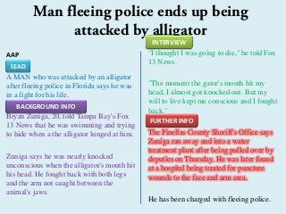 AAP
A MAN who was attacked by an alligator
after fleeing police in Florida says he was
in a fight for his life.
Bryan Zuniga, 20, told Tampa Bay's Fox
13 News that he was swimming and trying
to hide when a the alligator lunged at him.
Zuniga says he was nearly knocked
unconscious when the alligator's mouth hit
his head. He fought back with both legs
and the arm not caught between the
animal's jaws.
"I thought I was going to die," he told Fox
13 News.
"The moment the gator's mouth hit my
head, I almost got knocked out. But my
will to live kept me conscious and I fought
back."
The Pinellas County Sheriff's Office says
Zuniga ran away and into a water
treatment plant after being pulled over by
deputies on Thursday. He was later found
at a hospital being treated for puncture
wounds to the face and arm area.
He has been charged with fleeing police.
Man fleeing police ends up being
attacked by alligator
LEAD
BACKGROUND INFO
INTERVIEW
FURTHER INFO
 