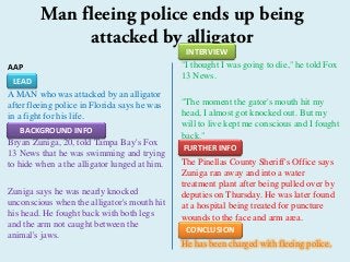 AAP
A MAN who was attacked by an alligator
after fleeing police in Florida says he was
in a fight for his life.
Bryan Zuniga, 20, told Tampa Bay's Fox
13 News that he was swimming and trying
to hide when a the alligator lunged at him.
Zuniga says he was nearly knocked
unconscious when the alligator's mouth hit
his head. He fought back with both legs
and the arm not caught between the
animal's jaws.
"I thought I was going to die," he told Fox
13 News.
"The moment the gator's mouth hit my
head, I almost got knocked out. But my
will to live kept me conscious and I fought
back."
The Pinellas County Sheriff's Office says
Zuniga ran away and into a water
treatment plant after being pulled over by
deputies on Thursday. He was later found
at a hospital being treated for puncture
wounds to the face and arm area.
He has been charged with fleeing police.
Man fleeing police ends up being
attacked by alligator
LEAD
BACKGROUND INFO
INTERVIEW
FURTHER INFO
CONCLUSION
 