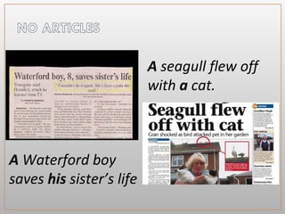A Waterford boy
saves his sister’s life
A seagull flew off
with a cat.